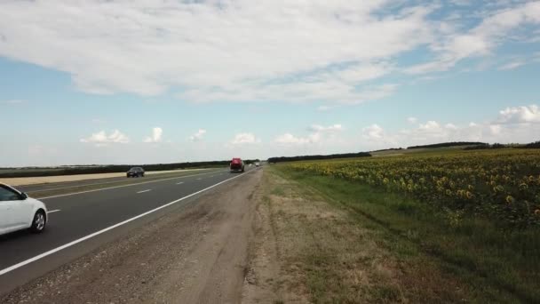 Videoaufnahmen: Autobahn in Russland im Juli 2021. 4K — Stockvideo