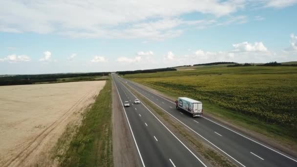 Video footage: Highway in Russia in July 2021. 4K — Stock Video