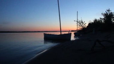 Yarasalar Pasifik bataklığının üzerinde böceklerle beslenir. Tekneleri ve sırtında günbatımı vardır.