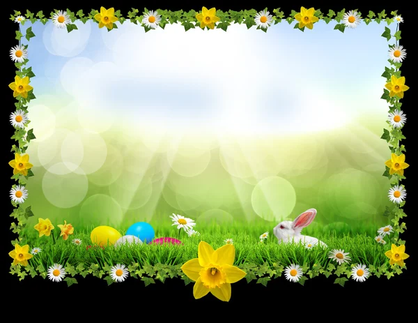 Velikonoční jarní dovolené pohlednice - měkké pozadí — Stock fotografie