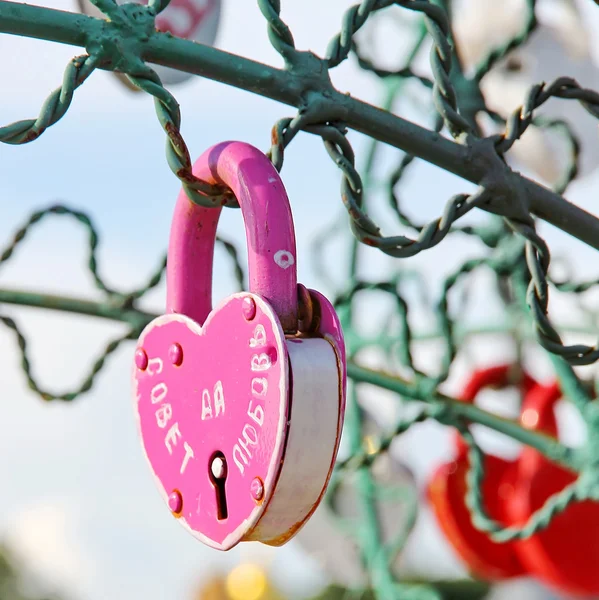 Tree of Love — Stock Photo, Image