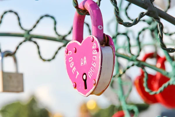 Boom van de liefde — Stockfoto