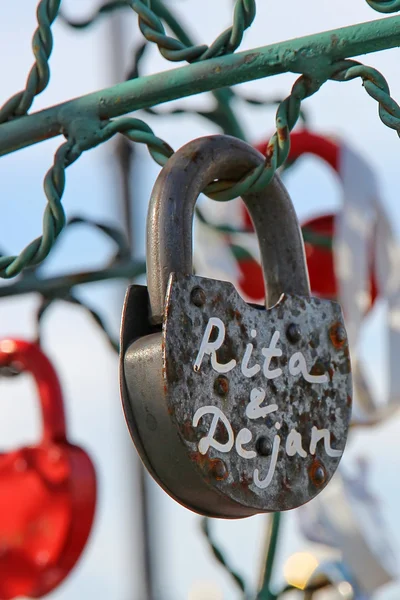 Boom van de liefde — Stockfoto