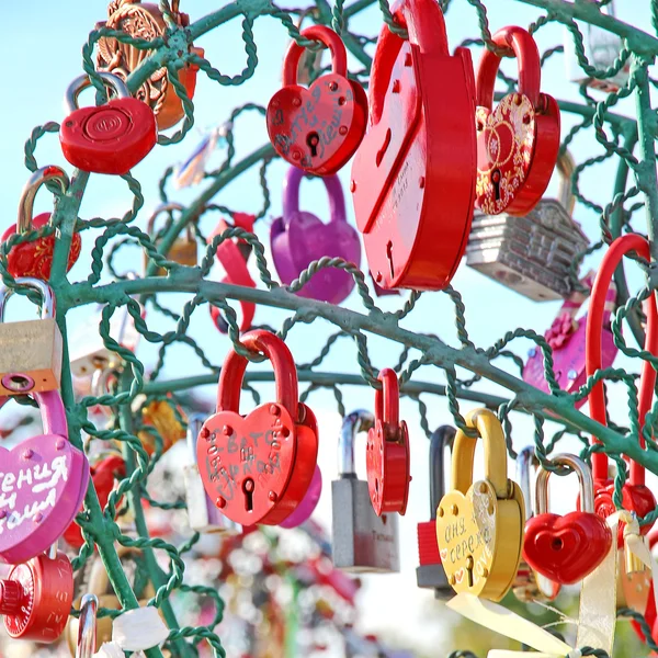 Tree of Love — Stock Photo, Image