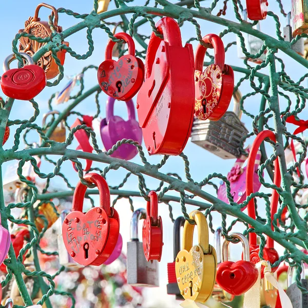 Tree of Love — Stock Photo, Image