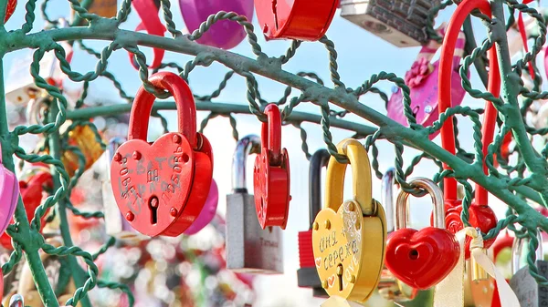 Boom van de liefde — Stockfoto