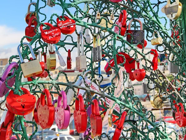 Tree of Love — Stock Photo, Image