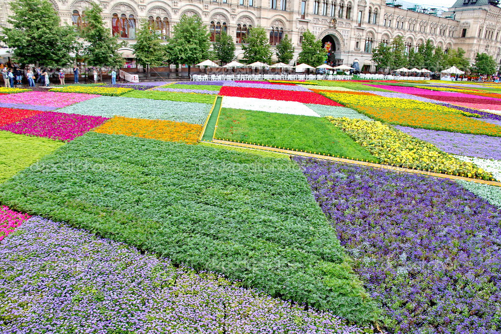 Risultati immagini per MOSCA FESTA DEI GIARDINI?