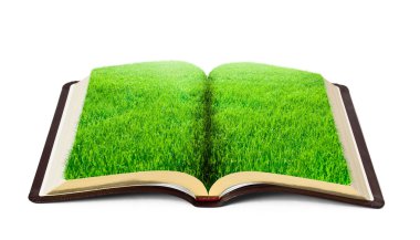 doğa ile çim beyaz zemin üzerine izole kitap