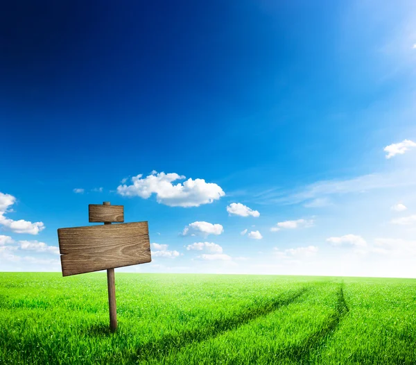 Señal de tráfico en campo de hierba verde sobre fondo azul cielo —  Fotos de Stock