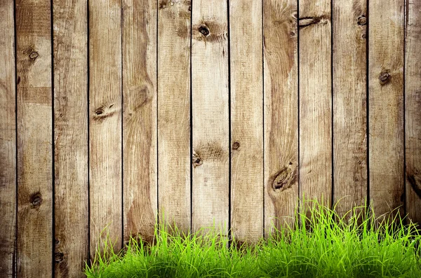 Erba verde con riflessione isolata su sfondo bianco — Foto Stock