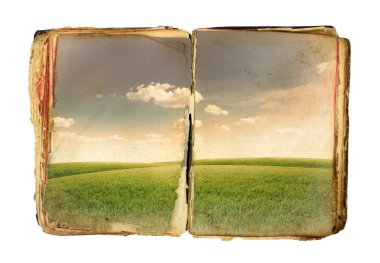 kitap alanları ile