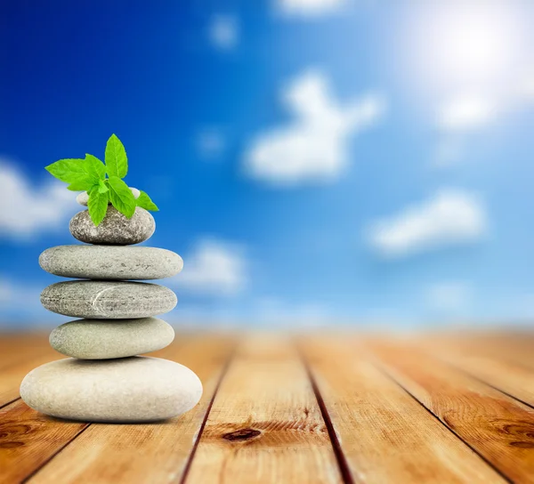 Green grass with stones — Stock Photo © robertsrob 61701745