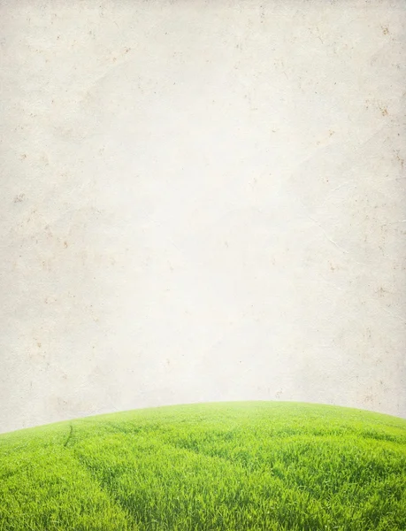 Pappersstruktur. Grönt fält i grunge och retrostil — Stockfoto