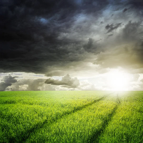 Estrada no campo e beleza por do sol com nuvens tempestuosas — Fotografia de Stock