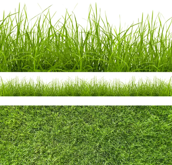 Gras — Stockfoto