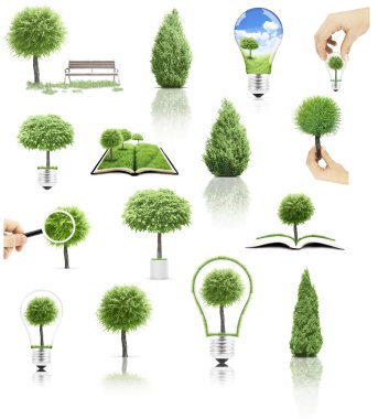 trees clipart