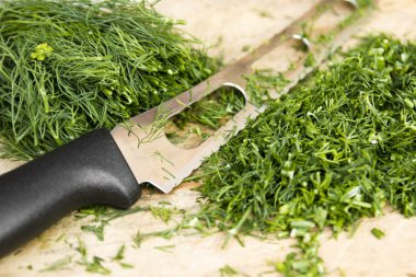 Dill.