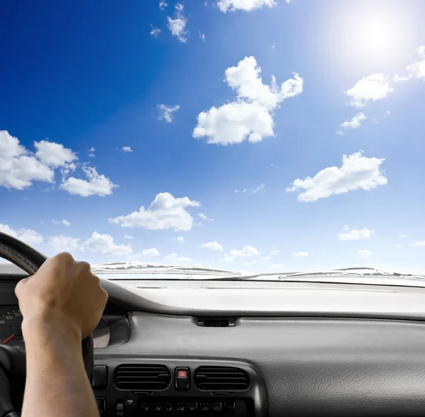 Ratten på en bil och himmel bakgrund — Stockfoto