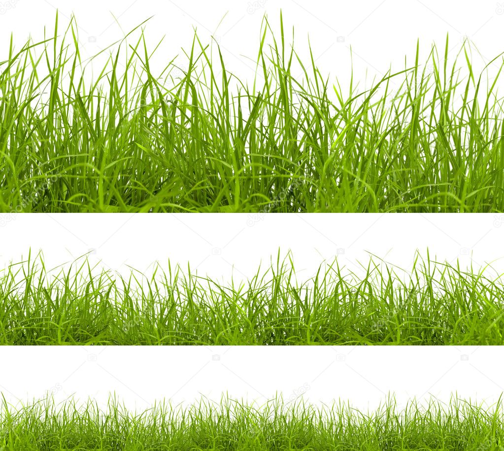 grass