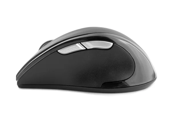 Mouse — Stock Photo, Image