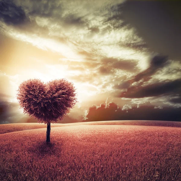 Campo abstracto con árbol en forma de corazón bajo el cielo azul Fotos de stock libres de derechos