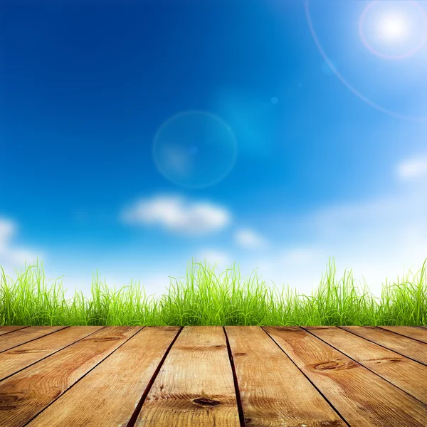 grass