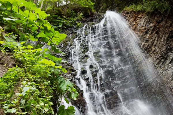 Wasserfall — Stockfoto