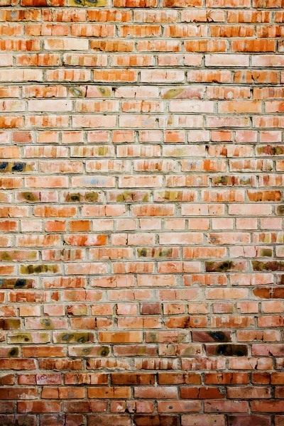 Wall — Stock Photo, Image