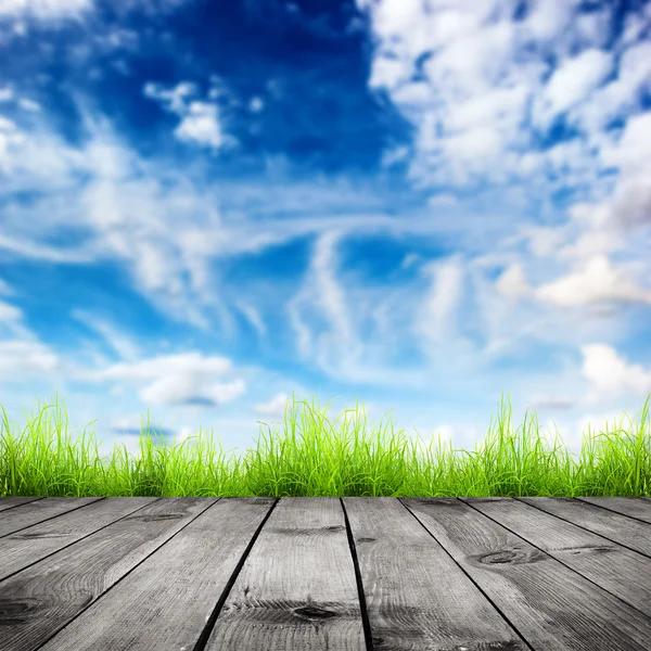 Verse lente groen gras met blauwe bokeh en zonlicht en hout verdieping — Stockfoto