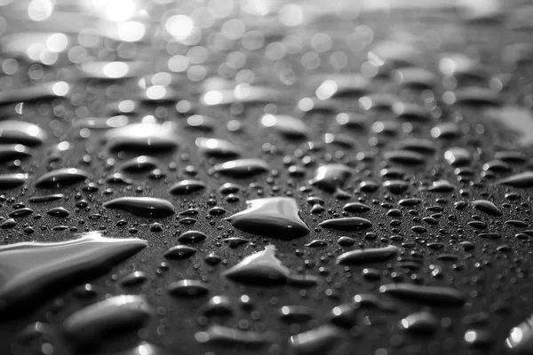 Water drops — Stock Photo, Image