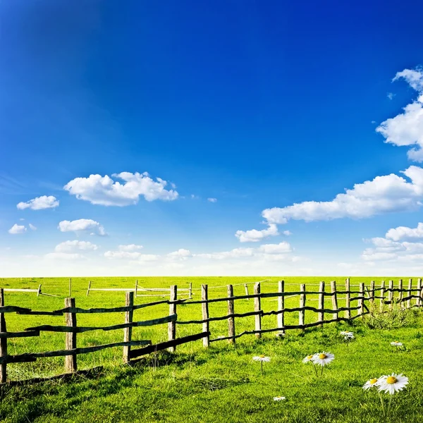 Fence in the green field — Stock Photo, Image