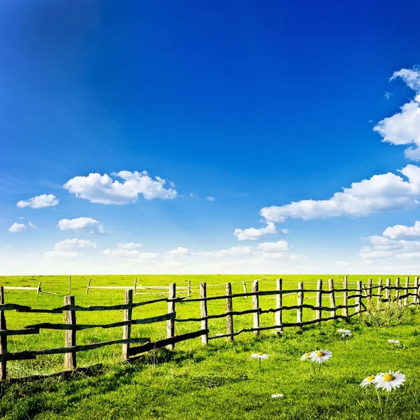 Recinzione nel campo verde — Foto Stock