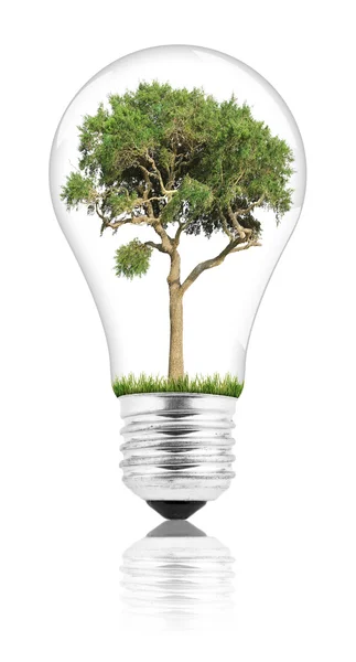 Lightbulb — Stock Photo, Image