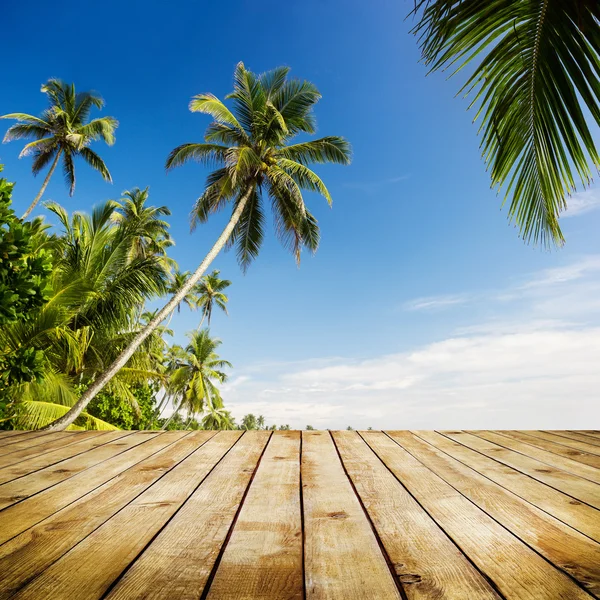 Hintergrund tropischer Natur — Stockfoto