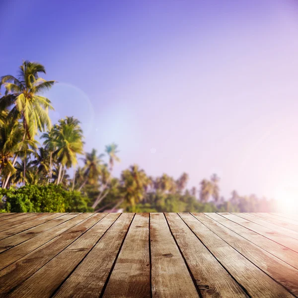 Tropisk strand — Stockfoto