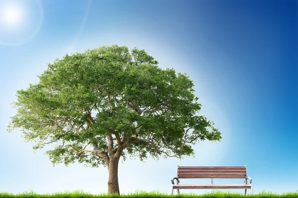 Banco con hierba verde y árbol en el fondo del cielo azul — Foto de Stock