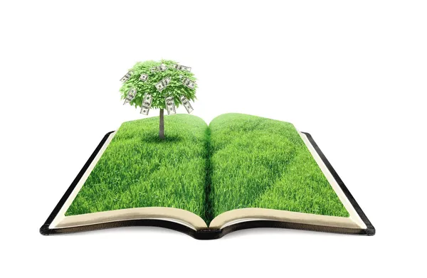 Book — Stock Image Book Stock Image