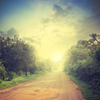 toprak yol ve bush ile savana