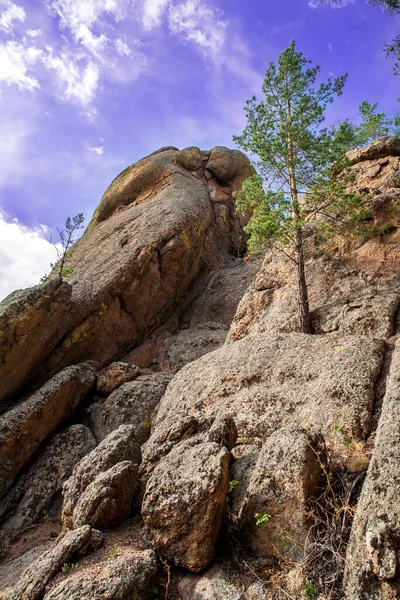 Rocas Con Árboles Contra Cielo Azul Verticalmente — Foto de Stock