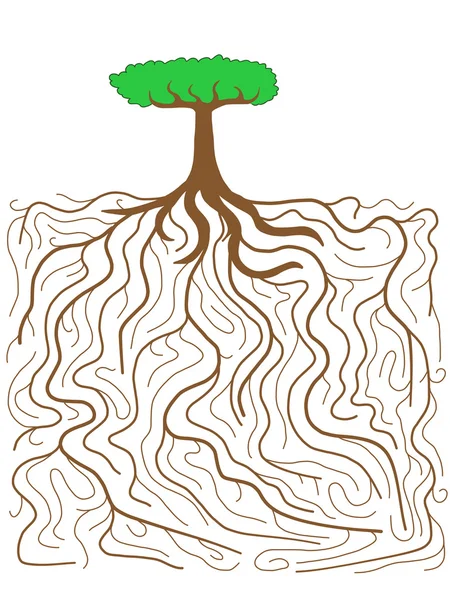 Träd rotsystem — Stock vektor