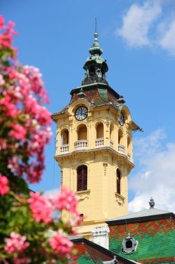 Macaristan - Segedin