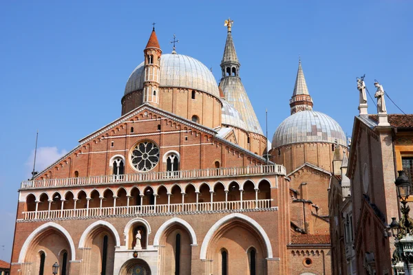Padua basilica — Stockfoto