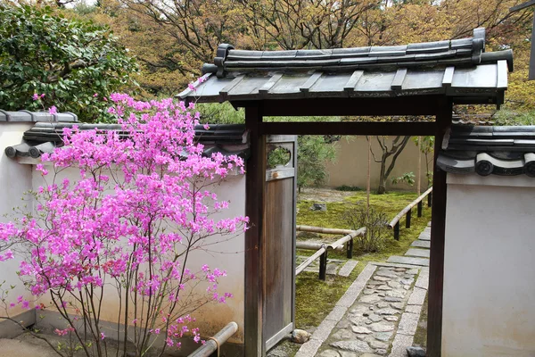 KYOTO Ordförande — Stockfoto