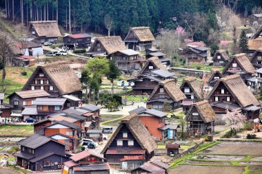 Shirakawa-go, Japonya
