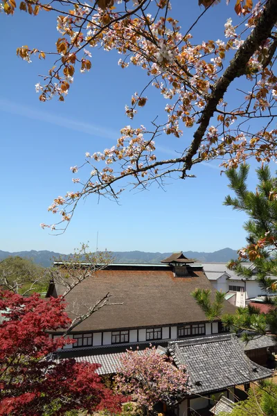 Yoshino, Japan - Stock-foto