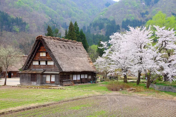 Shirakawa-go, Japon — Photo