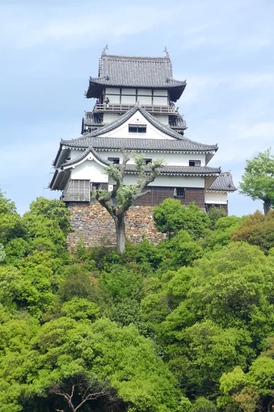 Inuyama — Stock fotografie