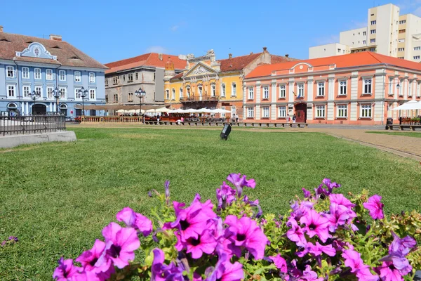 Timisoara — Stock fotografie