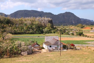 vinales, Küba